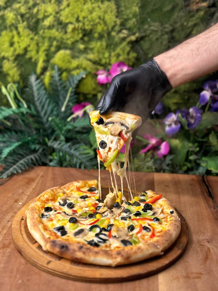 Vejeteryan Pizza