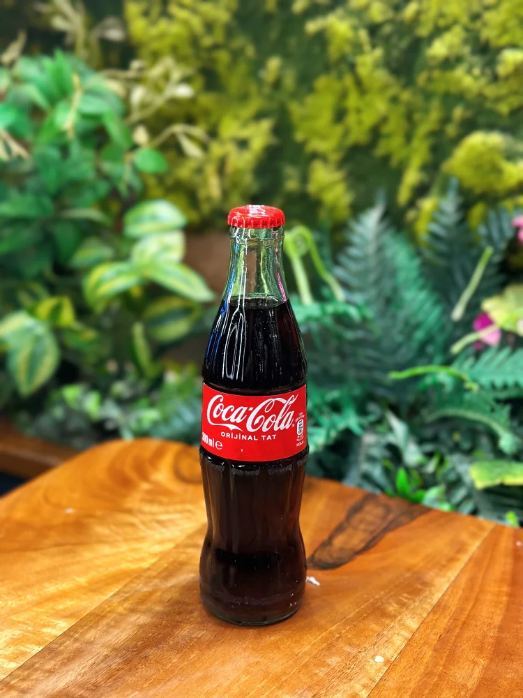 Coca Cola (Cam Şişe)