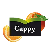 Cappy  330ml