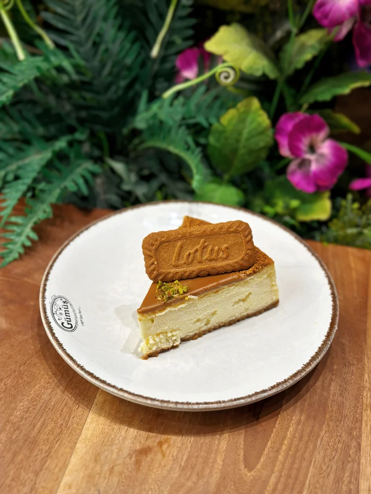 Cheesecake Lotus