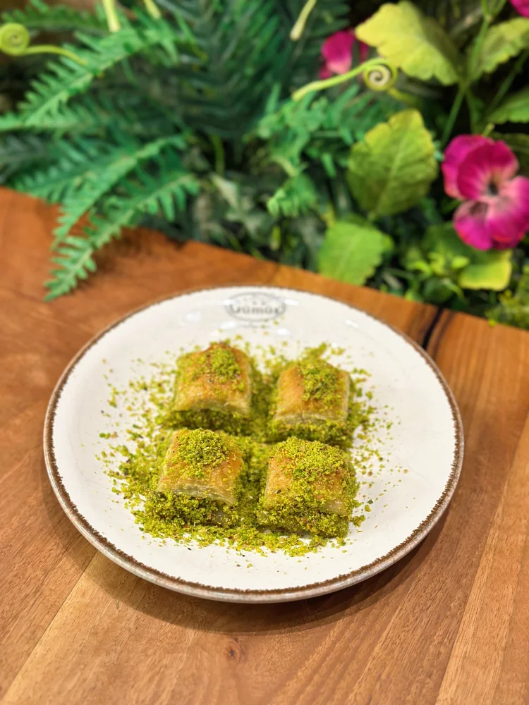 Normal Baklava